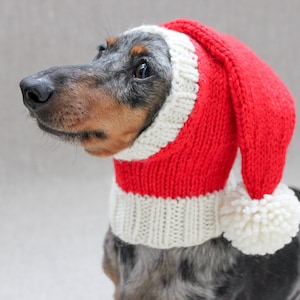 May include: A dachshund wearing a red and white knitted Santa hat with a white pom-pom. The dog is looking to the left of the frame.