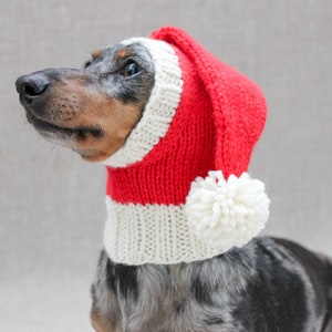 May include: A dachshund wearing a red and white knitted Santa hat with a white pom-pom.
