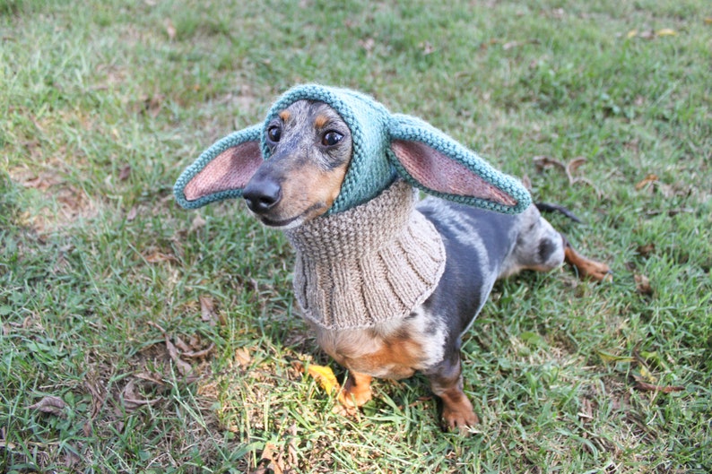 KNITTING PATTERN Small Dog Hat Costume image 4