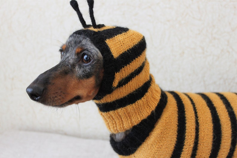 KNITTING PATTERN BUNDLE Dog Bee Costume Bee Bundle Etsy