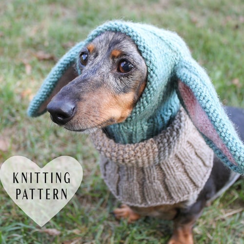 Pdf Pattern Dog Hatsdino Dog Hat Small Dog Hat Knitted Dog Etsy