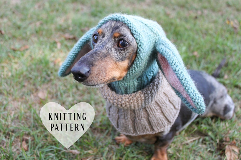 KNITTING PATTERN Small Dog Hat Costume image 1