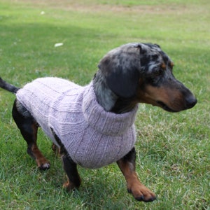 KNITTING PATTERN, Top-Down, Mini Dachshund, Dog Sweater, pet clothes, dogs, little dog, DIY project, knit, knitted, doxie, wiener dog, pets image 8