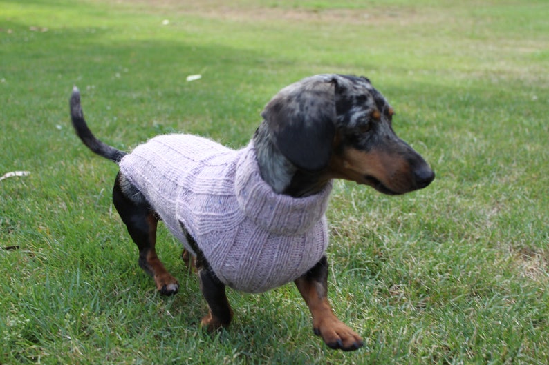 KNITTING PATTERN, Top-Down, Mini Dachshund, Dog Sweater, pet clothes, dogs, little dog, DIY project, knit, knitted, doxie, wiener dog, pets image 8