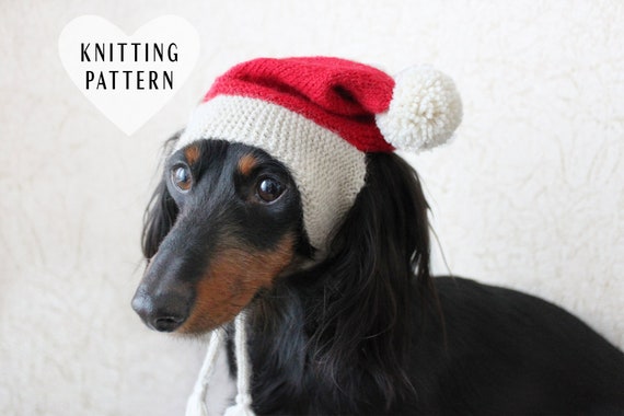 dachshund santa hat