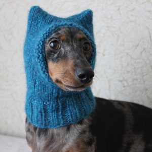 Small Dog Hat in Blue Kitty Cat Style for Mini Dachshund image 7