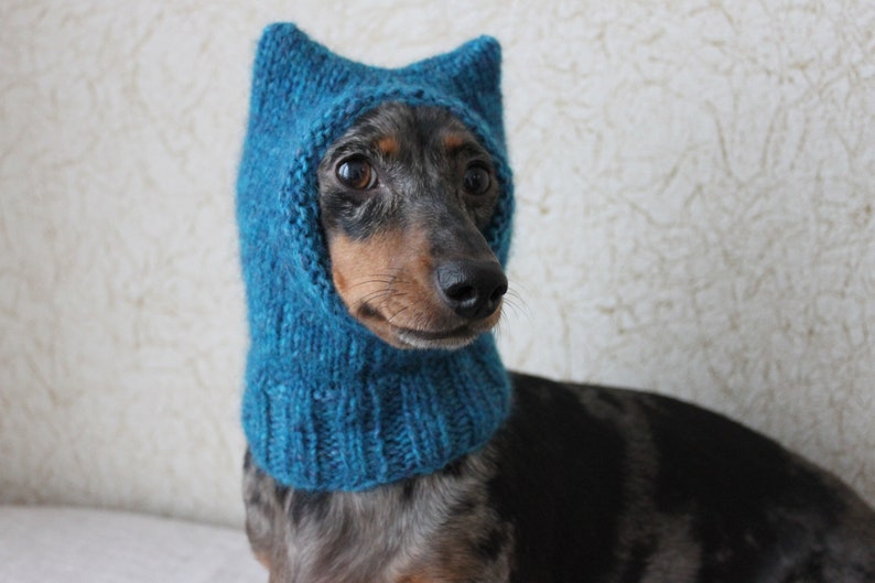 Small Dog Hat in Blue Kitty Cat Style for Mini Dachshund image 7