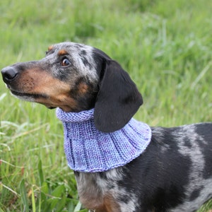 Small Dog Cowl 100% Natural Wool Purple Neck Warmer image 2