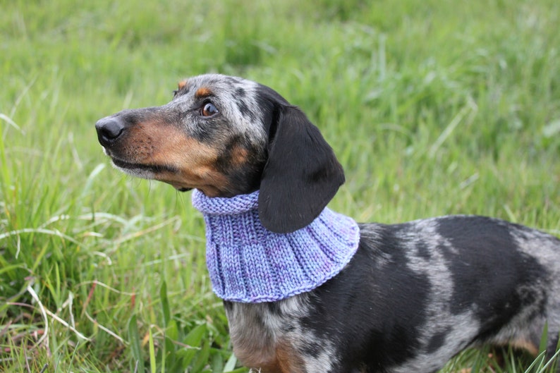 Small Dog Cowl 100% Natural Wool Purple Neck Warmer image 2