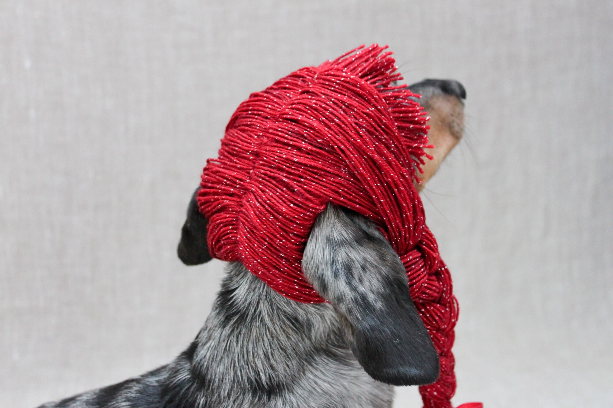 KNITTING PATTERN Dog Yarn Wig Braided Dog Wig Dog Hair Etsy