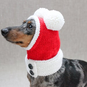 Dog Hat Vintage Christmas Santa Hat With Pom Poms in Natural Wool