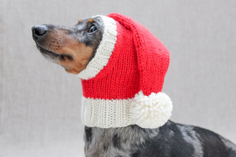 KNITTING PATTERN, Dog Santa Christmas Hat, Holiday Dog Hat, Santa Dog Hat, Dog Clothes, Dachshund Clothes Gifts, Dog Lover Gift, Pets image 2