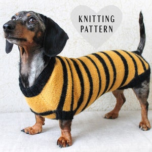 May include: A dachshund wearing a yellow and black striped knitted jumper. The jumper has a black collar and a black stripe around the tummy. The dog is standing on a white surface. The text "Knitting Pattern" is written in a heart shape above the dog.