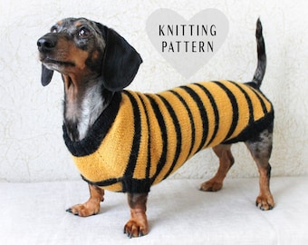 KNITTING PATTERN, Dog Bee Sweater, Dachshund Costume, Bee Sweater, Dog Costume, Pet Gift, Dog Owner Gift, Dog Lover Gift, Dog Clothes, Dogs