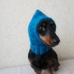 May include: A black and brown dachshund wearing a blue knitted hooded hat. The dog is looking to the right of the frame.