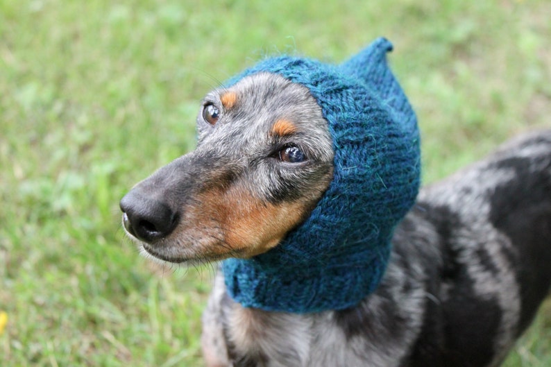Dog Hat in Dark Turquoise Made Out of All Natural Alpaca Yarn image 5