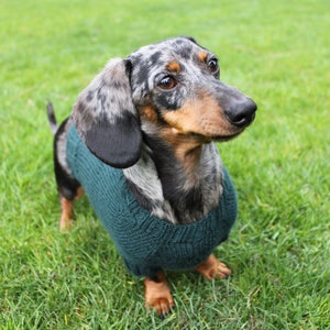 KNITTING PATTERN, Mini Dachshund, Dog Sweater, Cloud 9, pet clothes, pets, dogs, knit, knitted, DIY project, doxie, wiener dog, little dog image 7