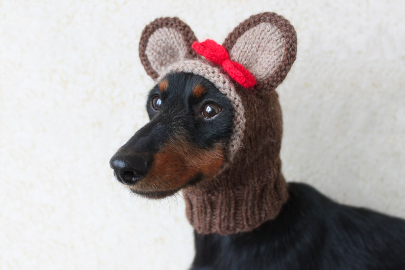 KNITTING PATTERN BUNDLE Dog Costume Set Dog Hats Dog - Etsy