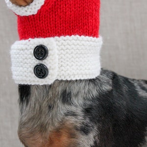 Santa Dog Hat, Dog Santa, Mini Dachshund Santa Hat, Red And White Dog Hat, Dog Gift, Dog Fashion, Dachshund Clothes, Small Dog Beanie image 6