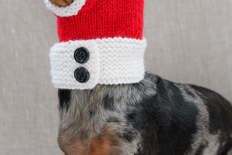 Santa Dog Hat, Dog Santa, Mini Dachshund Santa Hat, Red And White Dog Hat, Dog Gift, Dog Fashion, Dachshund Clothes, Small Dog Beanie image 6