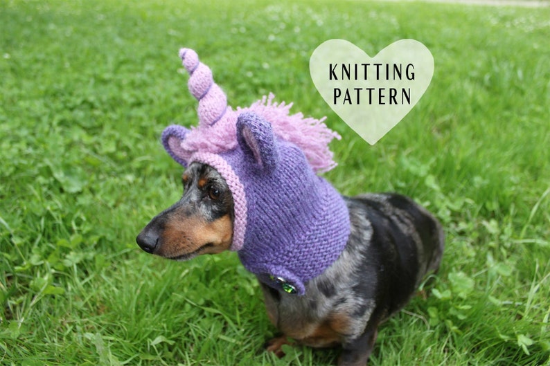 KNITTING PATTERN, Dachshund Unicorn Hood, dog hat, dogs, pet, pet costume, pets, doxie, mini, dachshund, unicorn, hat, dog clothes, dog image 1