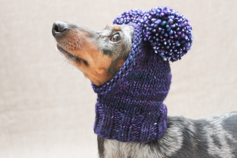 KNITTING PATTERN Chunky Double Pom-Pom Small Dog Hat imagem 6