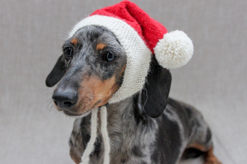 KNITTING PATTERN Santa Dog Hat Dog Santa Hat Dachshund Etsy UK