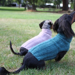 KNITTING PATTERN, Top-Down, Mini Dachshund, Dog Sweater, pet clothes, dogs, little dog, DIY project, knit, knitted, doxie, wiener dog, pets image 5