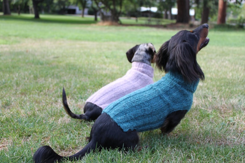 KNITTING PATTERN, Top-Down, Mini Dachshund, Dog Sweater, pet clothes, dogs, little dog, DIY project, knit, knitted, doxie, wiener dog, pets image 5