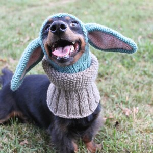 KNITTING PATTERN Small Dog Hat Costume image 9