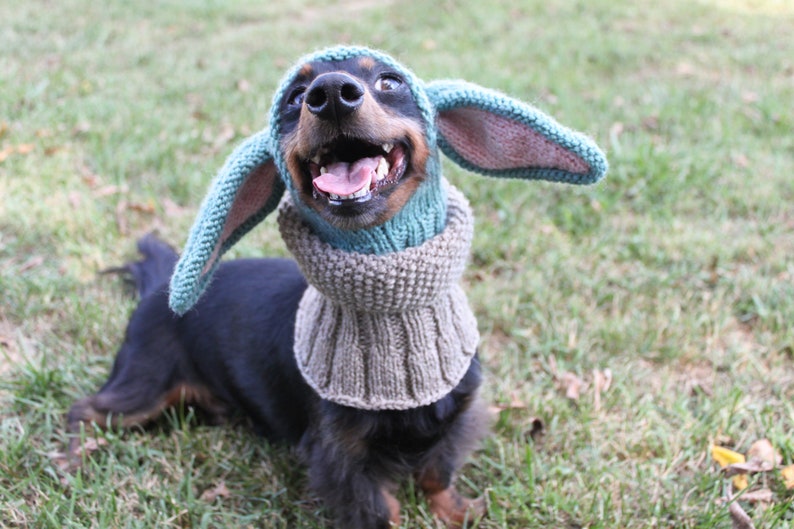 KNITTING PATTERN Small Dog Hat Costume image 9