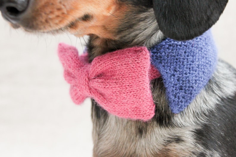 KNITTING PATTERN BUNDLE Dog Hat Dog Bow Tie Dog Birthday Etsy