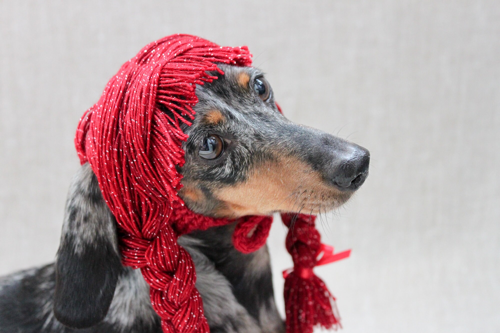 KNITTING PATTERN Dog Yarn Wig Braided Dog Wig Dog Hair Etsy
