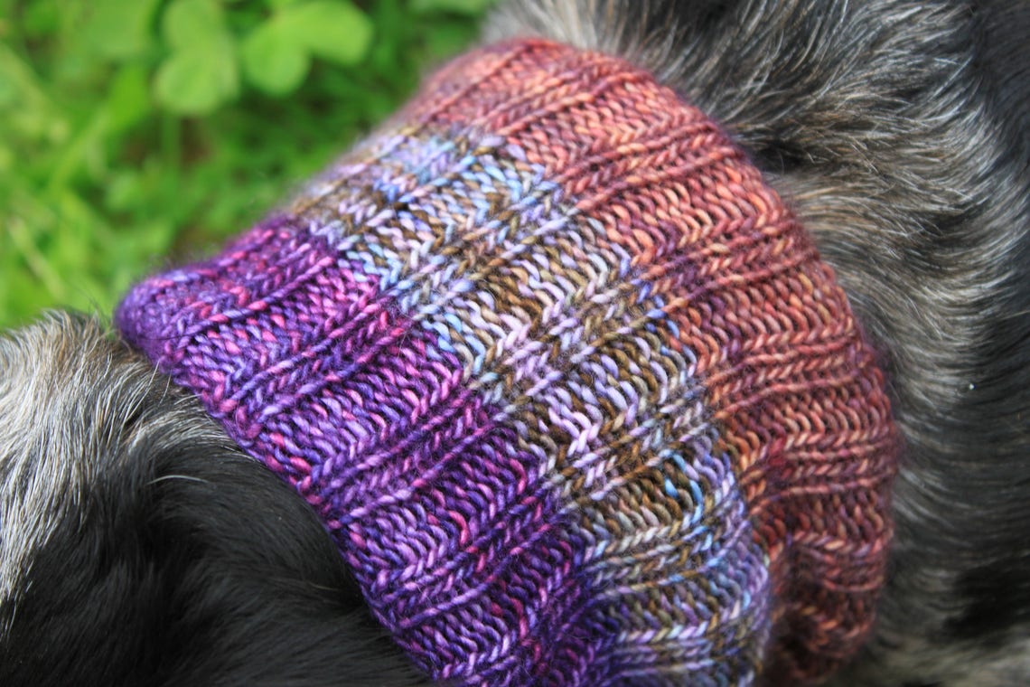 KNITTING PATTERN Dachshund Neck Warmer Dog Cowl Wiener Dog Etsy