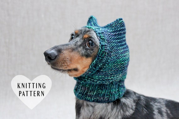 Dachshund puppy accessories online