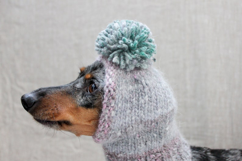 Dog Hat Dog Clothes Silly Dog Hat Angora Dog Hat Gray Dog Hat Small Dog Hat Cute Dog Hat Retro Dog Hat Dog Style Dog Fashion