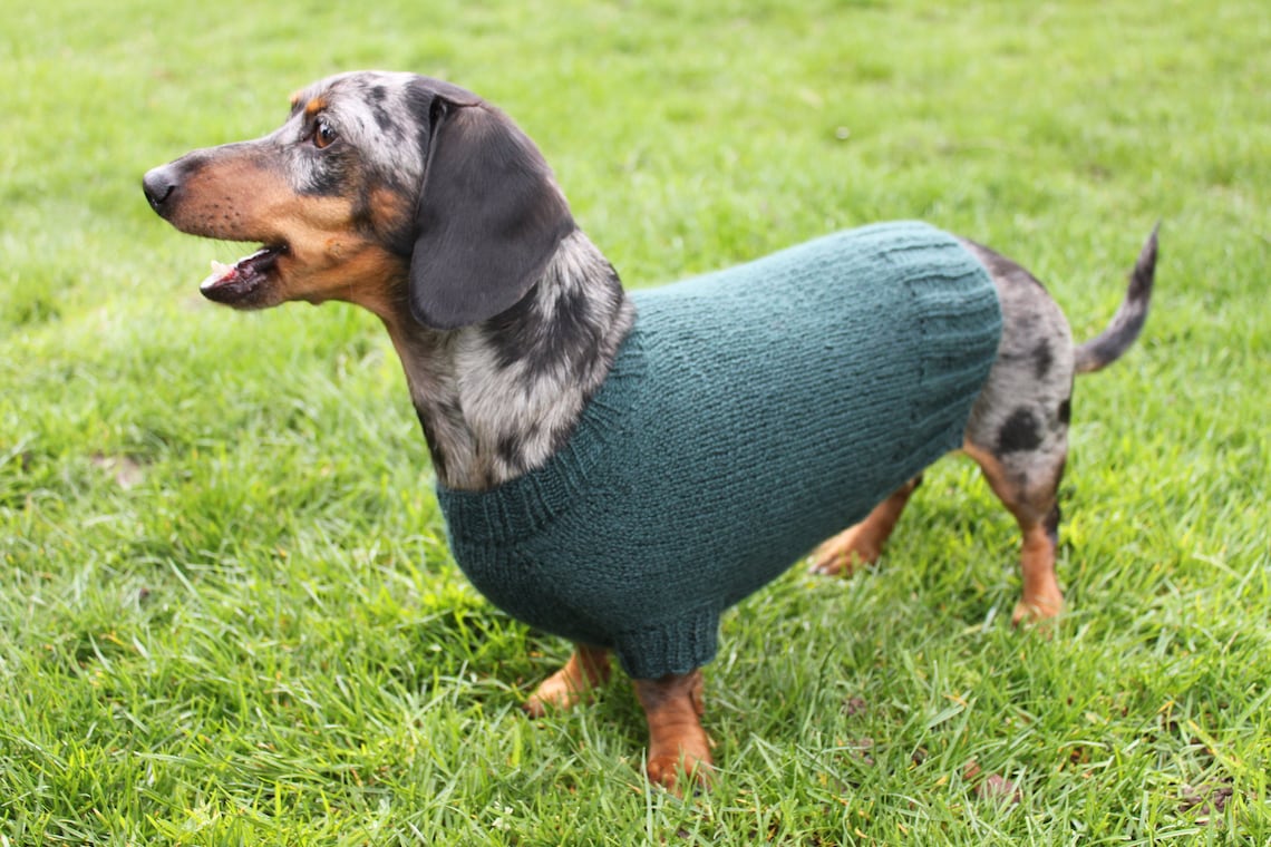 Knitting Pattern Mini Dachshund Dog Sweater Cloud 9 Pet 15C