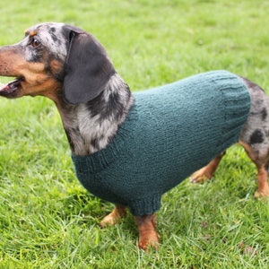 KNITTING PATTERN, Mini Dachshund, Dog Sweater, Cloud 9, pet clothes, pets, dogs, knit, knitted, DIY project, doxie, wiener dog, little dog image 10