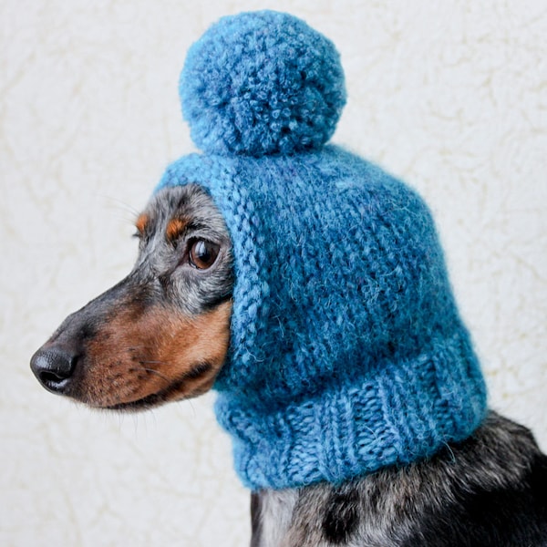 Dog Hat, Small Dog Hat, Dog Clothes, Dog Fashion, Knitted Dog Hat, Fun Dog Gift, Dog Lover Gift, Dog Birthday Gift, Pet Gift, Blue Dog Hat