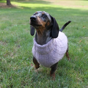 KNITTING PATTERN, Top-Down, Mini Dachshund, Dog Sweater, pet clothes, dogs, little dog, DIY project, knit, knitted, doxie, wiener dog, pets image 3