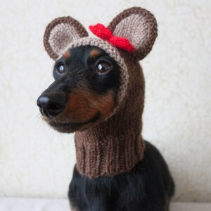 KNITTING PATTERN, Teddy Bear Dog Hat, Small Dog Bear Hat, Bear Hoodie, Bear Hood, Teddy Bear Dog Costume, Dachshund Hat, knit Doxie Hoodie image 4