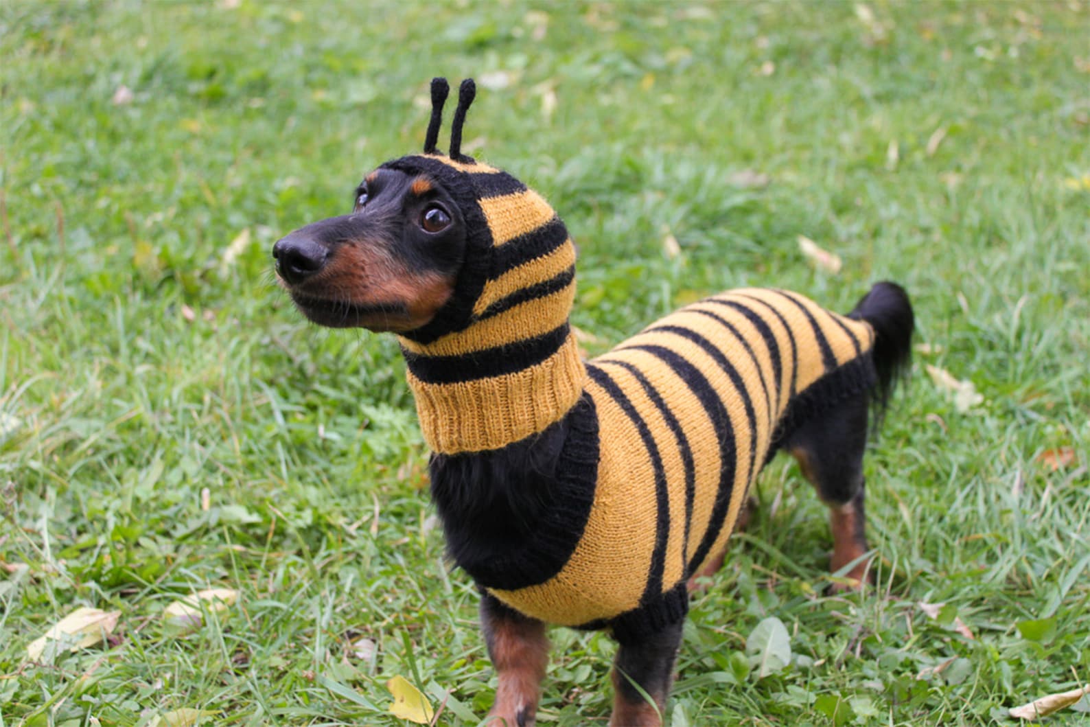 KNITTING PATTERN BUNDLE Dog Bee Costume Bee Bundle Etsy