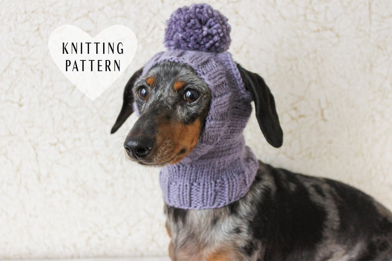 KNITTING PATTERN, Mini Dachshund Dog Hat, Small Dog Hat, Knitted Dog Hat, Dog Clothes, Dog Fashion, Dog Gift, Pet Lover Gift, Wiener Dog Hat image 1