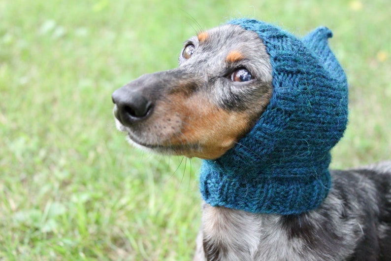 Dog Hat in Dark Turquoise Made Out of All Natural Alpaca Yarn image 6