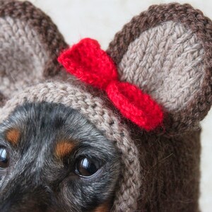 KNITTING PATTERN, Teddy Bear Dog Hat, Small Dog Bear Hat, Bear Hoodie, Bear Hood, Teddy Bear Dog Costume, Dachshund Hat, knit Doxie Hoodie image 7