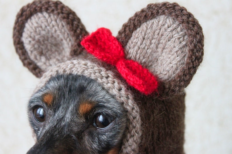 KNITTING PATTERN, Teddy Bear Dog Hat, Small Dog Bear Hat, Bear Hoodie, Bear Hood, Teddy Bear Dog Costume, Dachshund Hat, knit Doxie Hoodie image 7