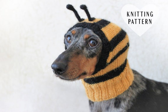 DIY Khaki Puppy Crochet Kit For Beginners Pet Birthday Hat Knitted