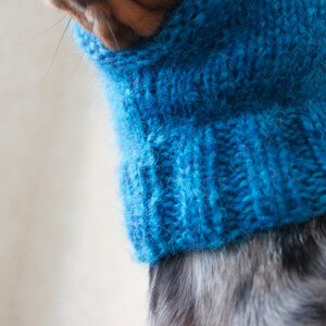 May include: A small dog wearing a blue knitted turtleneck sweater. The sweater is made of a soft, fuzzy yarn.