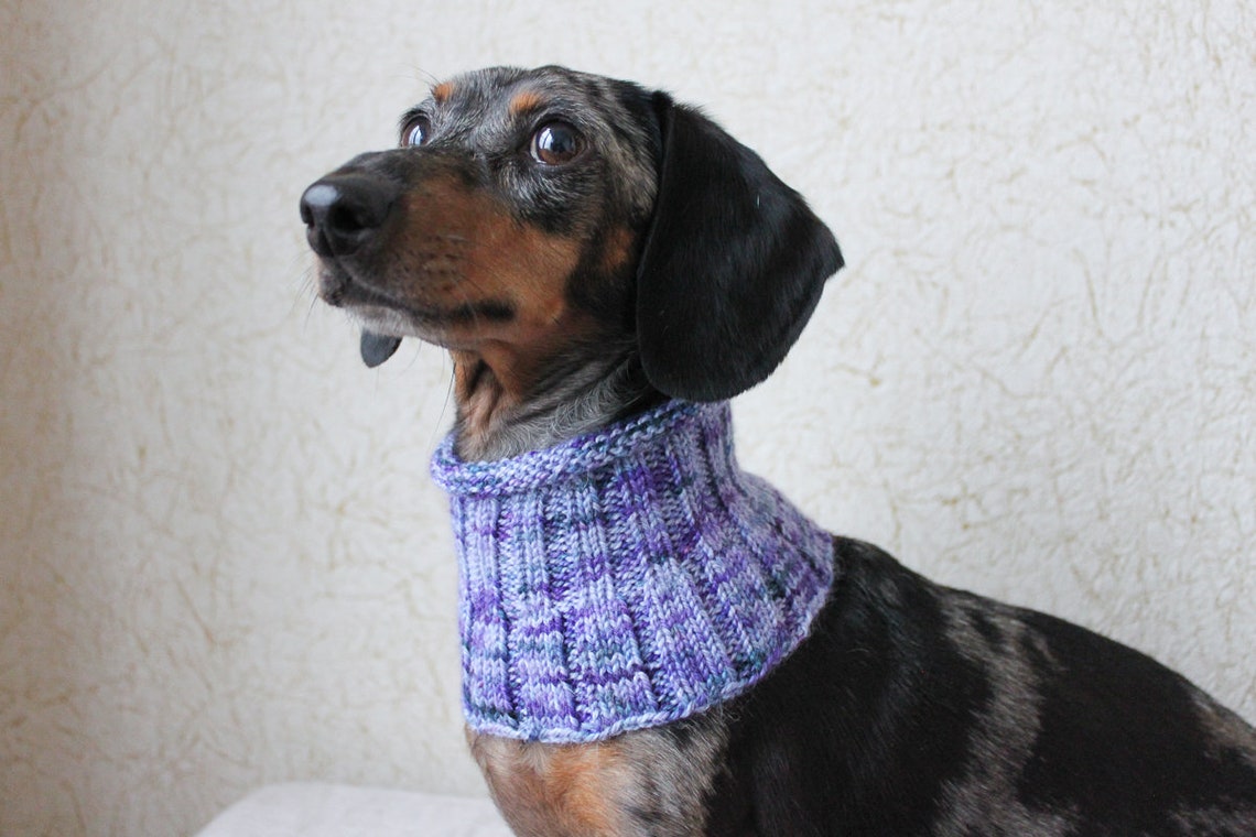 KNITTING PATTERN Small Dog Cowl Neck Warmer Knitted Dog Etsy