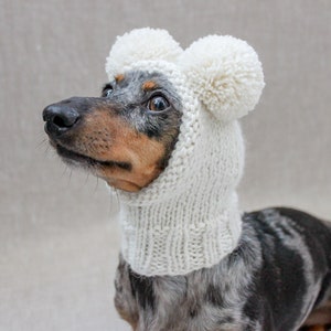 Puede incluir: Un dachshund con un gorro blanco de punto con dos pompones en la parte superior. El gorro cubre la cabeza y el cuello del perro.